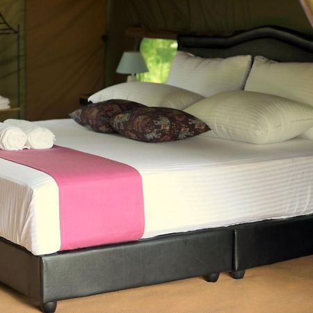 Hotel Basecamp - Yala Zewnętrze zdjęcie